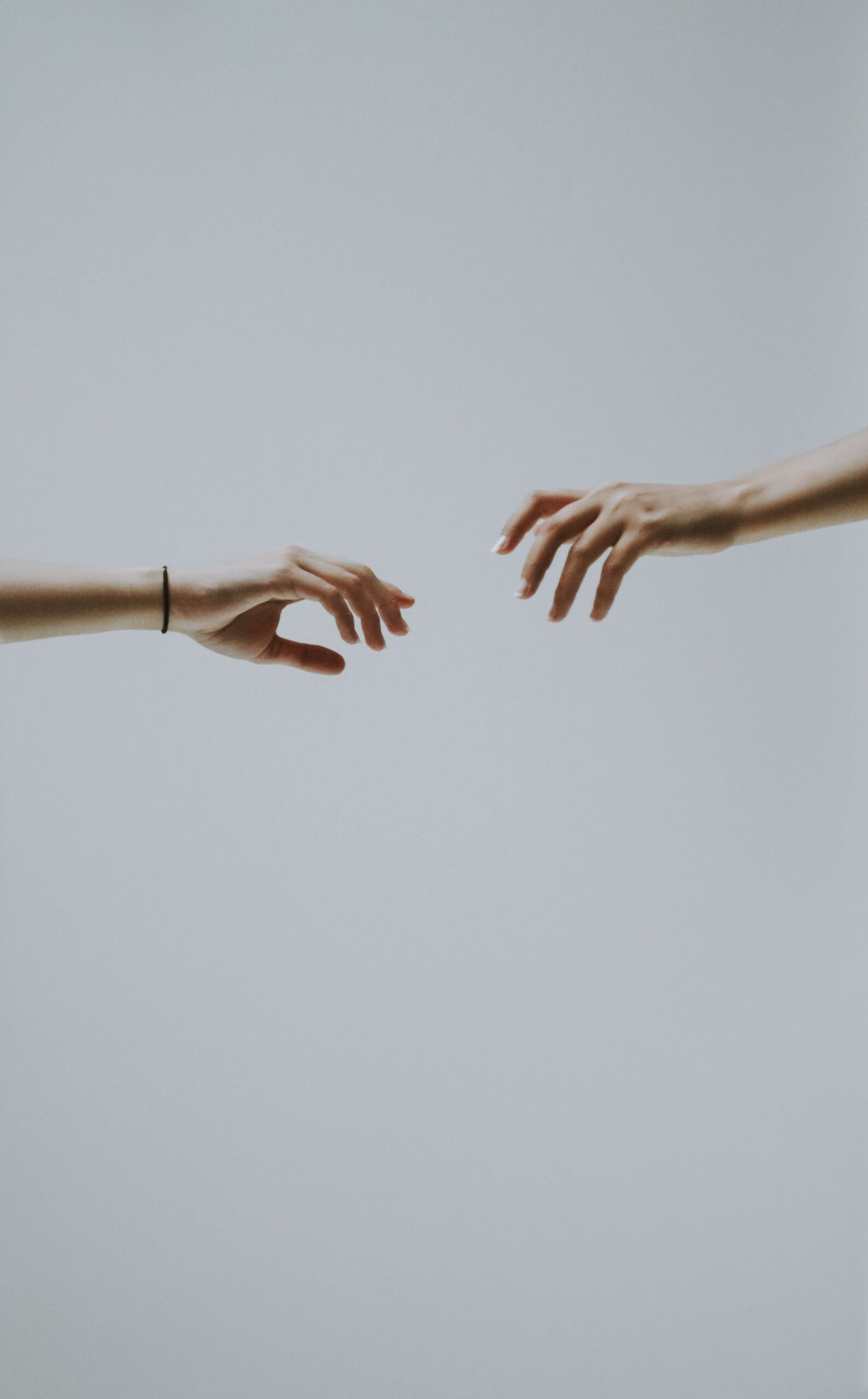 hands, foster, care, loving, needs